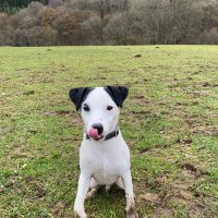 Tracy Cooper DMs/lists = blocked 😶