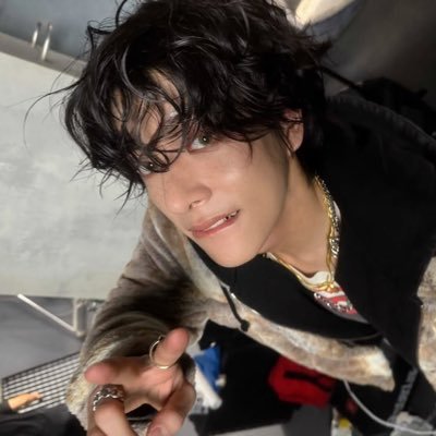 cat 𐙚 ENHYPEN IS 7!