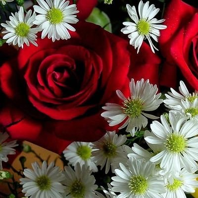 ᵣᵤ♭ᵧꨄ︎ᵇⁱⁿᵍᶠᵃⁿ_ʲⁱᵃʰᵃᵒ