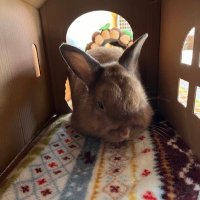 ドラえもんが大好きです