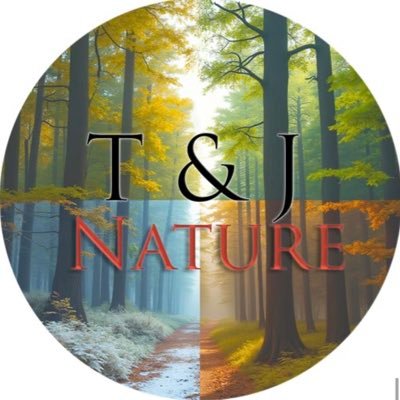 T and J nature
