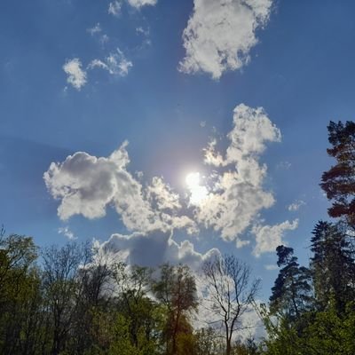 Klar Name⚡️Quotenfrau 🌷🪻🌷💙✈️