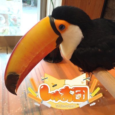 ゲストと愉快な仲間たち