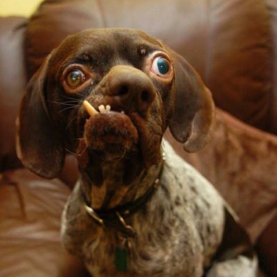 cvetkovicorama 🏋️‍♂️💪