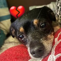 Martina Gaye & Ellie❤️ & Carla🖤🌈