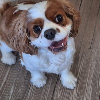 @reggiesmum.bsky - bertiesmum 🇦🇺