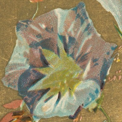 八雲橋かつなり🌸詩情オルタナティヴ