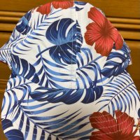 はらいそ🌴@健生GC工作員