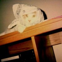 Mike Crissinger Jr. 🥊🥊🥊