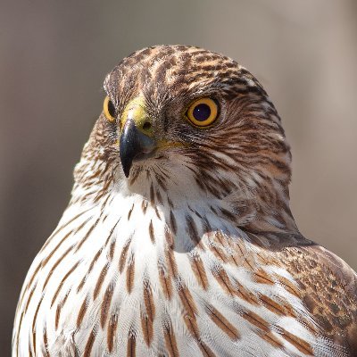 Watching you, watching me 👀🛡️