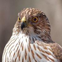 Watching you, watching me 👀🛡️