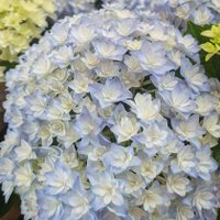 煮つなも【新規❌️】