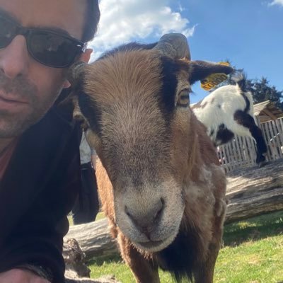 👁👃👁.... black Birds