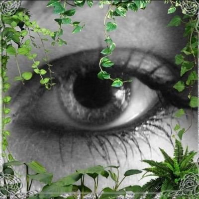 jilke FELLA💪💙💛👊🇪🇺🇳🇱