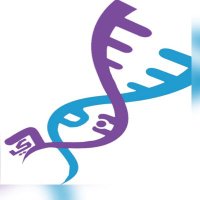 د.سمر خالد سندي