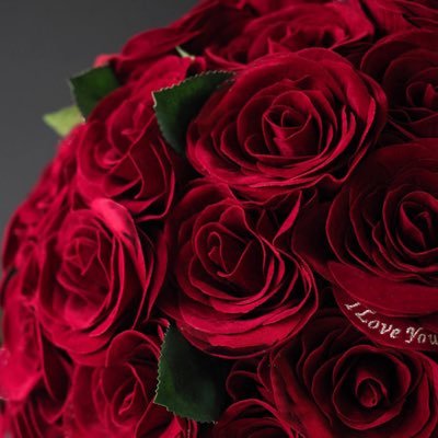 りょひろ🌹₺ƾ(ﾉ)•ω•(ヾ)₺ƾ🍕