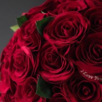 りょひろ🌹₺ƾ(ﾉ)•ω•(ヾ)₺ƾ🍕