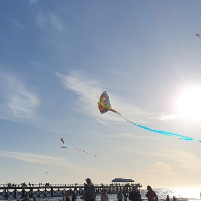 @ceasefirenowFreePalestine