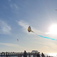 @ceasefirenowFreePalestine