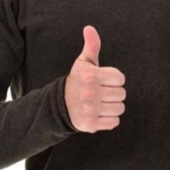 Le Pouce