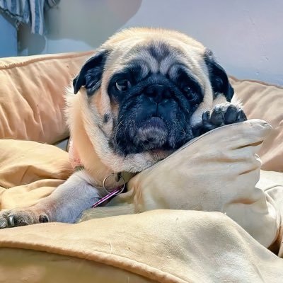 Fuera las malas vibras