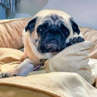 Fuera las malas vibras