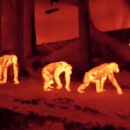 SteveFilipovic@regimechangebc