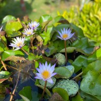 miki.｜5:30起床。気づきを行動に変えるひと