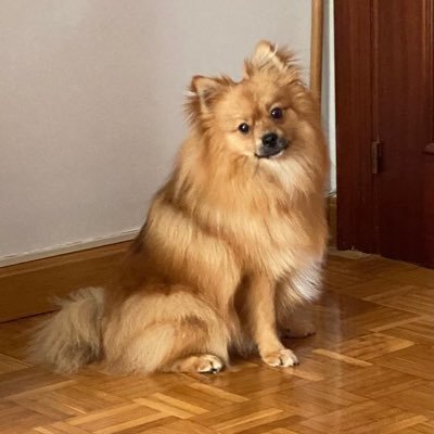 M.Zuriñe 💜🇵🇸