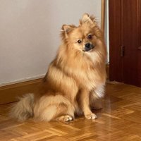 M.Zuriñe 💜🇵🇸