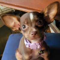 Mary~Contrary to Left