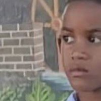 pelo_rarissime🏴‍☠️⚔️