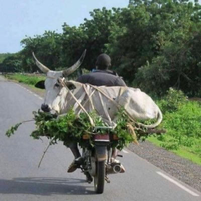 Government Of Criminality