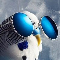 アムステルダムもなか