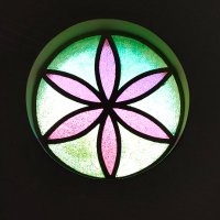 GENI ESTÁ ALUCINANDO DE FELICIDADE