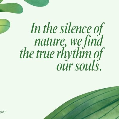 Chaudhary Shafiullah