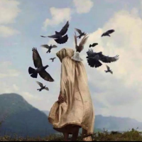 Muhammad Osama Fayyaz