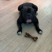 @PawsnTails4TX 🇺🇸🇺🇸🐾🐾