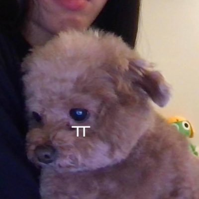 𝒋 𝒃𝒂𝒃𝒆 ꪔ̤̮¹⁰