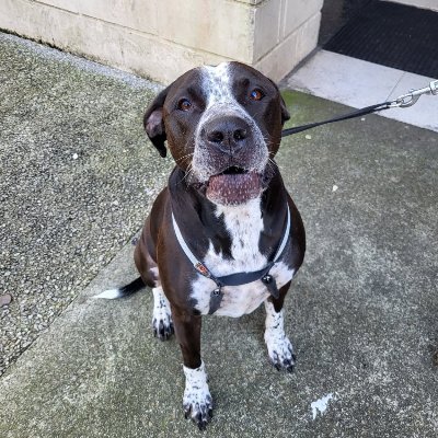 Thierry Rouby bot tak bot !