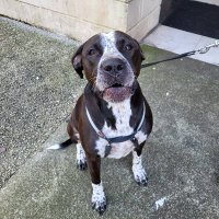 Thierry Rouby bot tak bot !