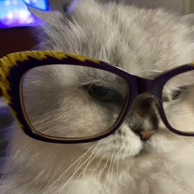 Elena la bersagliera #HaStatoPutin