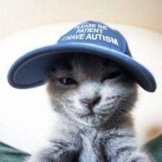 побежалыйЛабрадор 🕊🍂