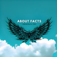 About Facts