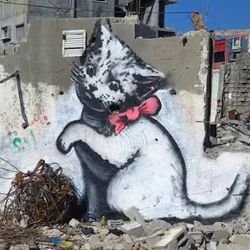 maybe_frills #EndTheSiege