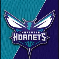 Hornets🐝🩵