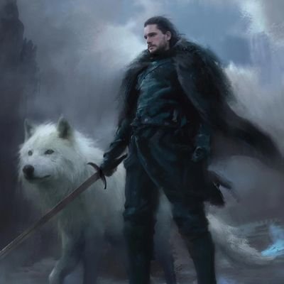 The bastard of Winterfell