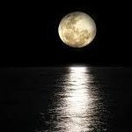 SeXual Moon(Verleiher des Balla-Balla-Gütesiegels)