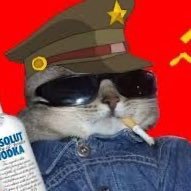 t h a i s b r a c h o