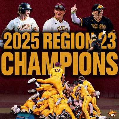 Pearl River Baseball